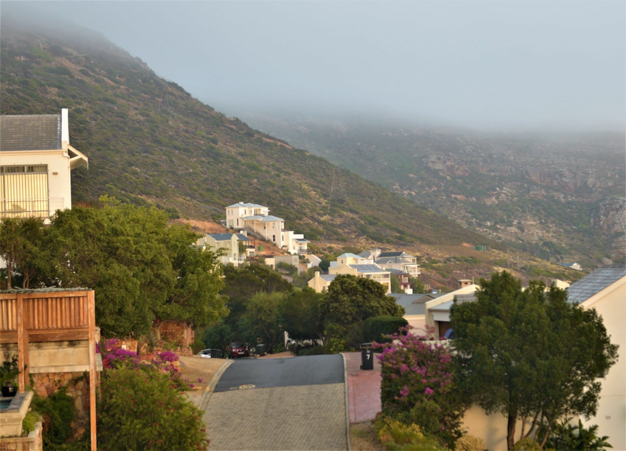 Penguin Palace Simon's Town Bagian luar foto
