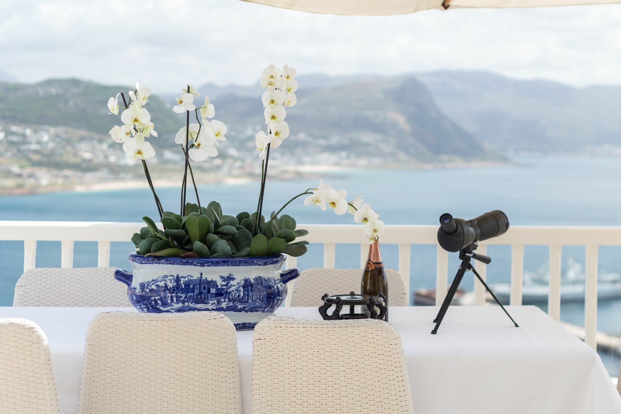 Penguin Palace Simon's Town Bagian luar foto